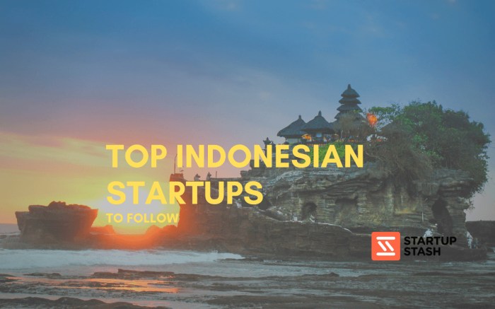 Startup Indonesia Catat Pendanaan Rp6 Triliun Semester Ini