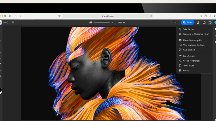 Adobe Photoshop Versi Web Kini Tersedia untuk Pelanggan Creative Cloud ...