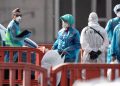 Dinkes DKI Temukan 4 Kasus Hantavirus di Jakarta Warga Diminta Waspada