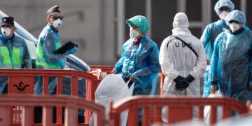 Dinkes DKI Temukan 4 Kasus Hantavirus di Jakarta Warga Diminta Waspada