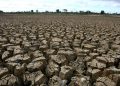 Catatan BNPB: 2.245 Warga di Jabar dan Jateng Terkena Dampak Kekeringan