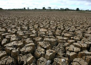 Catatan BNPB: 2.245 Warga di Jabar dan Jateng Terkena Dampak Kekeringan