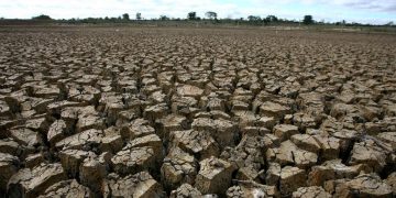 Catatan BNPB: 2.245 Warga di Jabar dan Jateng Terkena Dampak Kekeringan