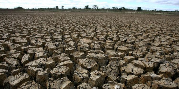 Catatan BNPB: 2.245 Warga di Jabar dan Jateng Terkena Dampak Kekeringan