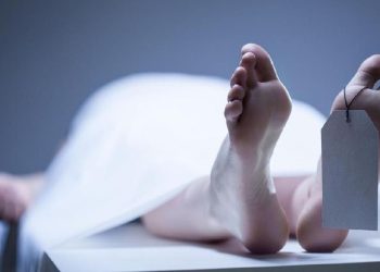 Pilot Asing Tewas Saat Mengangkut Tujuh Penumpang