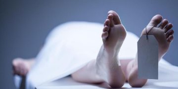 Pilot Asing Tewas Saat Mengangkut Tujuh Penumpang