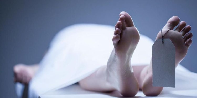Pilot Asing Tewas Saat Mengangkut Tujuh Penumpang