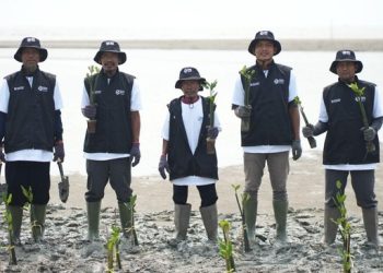Libatkan Petani dan Nelayan, Program Penanaman 24000 Mangrove