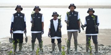 Libatkan Petani dan Nelayan, Program Penanaman 24000 Mangrove