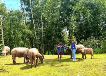Upaya Mantri Hadirkan Akses Perbankan di Pegunungan Toraja Utara