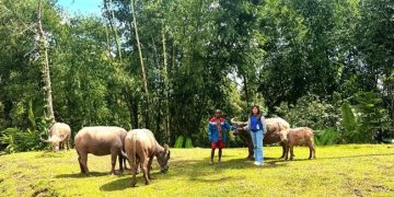 Upaya Mantri Hadirkan Akses Perbankan di Pegunungan Toraja Utara