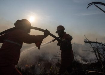 Upaya Menanggulangi Kebakaran Lahan di Ogan Ilir