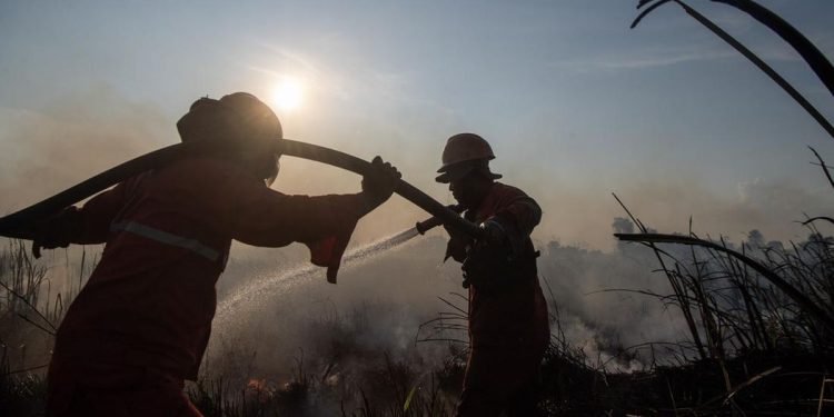 Upaya Menanggulangi Kebakaran Lahan di Ogan Ilir