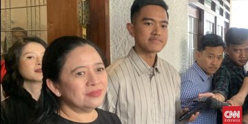 Dapil Neraka Kandang Banteng yang Diganggu Kaesang