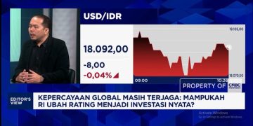 Rating S&P Stabil, Apakah Indonesia Semakin Menarik untuk Investor Asing?