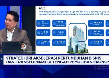 Video: KUR Terbaru Jurus Genjot Ekonomi BRI Hingga ke Desa
