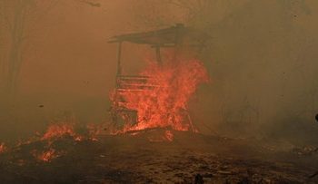 10 Fakta Karhutla Kalimantan: Asap Menyebar ke Malaysia dan Relawan Terluka