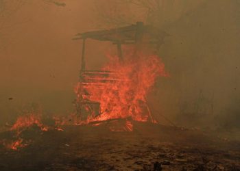 Catatan Kebakaran 936 Hektare Hutan dan Lahan di Kaltim