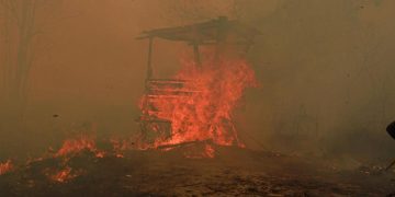 Catatan Kebakaran 936 Hektare Hutan dan Lahan di Kaltim