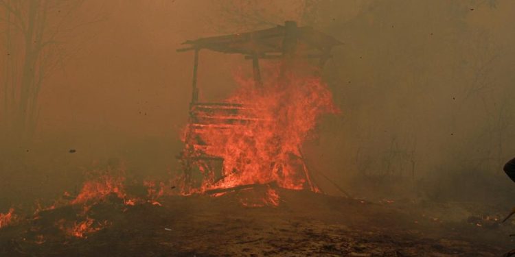 Catatan Kebakaran 936 Hektare Hutan dan Lahan di Kaltim