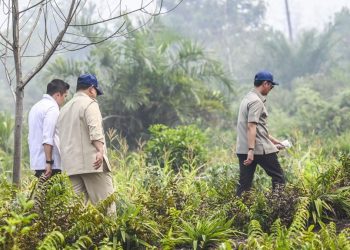 Prabowo Kunjungi Riau untuk Tinjau Penanganan Karhutla di Sumatra