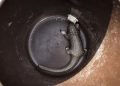 Pengedar Sisik Trenggiling dan Paruh Rangkong di Padang Ditangkap Sebagai Tersangka