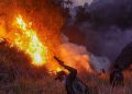 Kebakaran di Bromo Meluas Hingga 742 Hektare