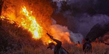 Kebakaran di Bromo Meluas Hingga 742 Hektare