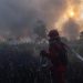 Karhutla Kalsel Meningkat, Penambahan Pasukan Darat dan Water Bombing