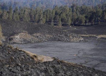 Karhutla Gunung Semeru Padam Hanguskan Luas Lahan 3072 Hektare