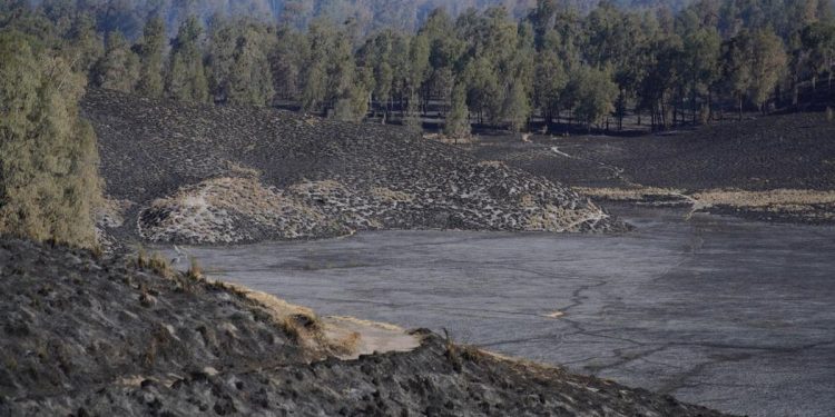 Karhutla Gunung Semeru Padam Hanguskan Luas Lahan 3072 Hektare