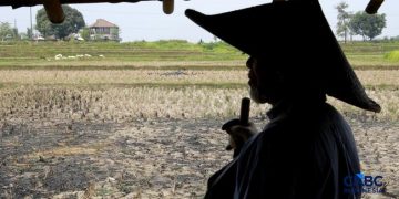 Petani Indonesia Temukan 16 Kg Emas di Lahan Pertanian