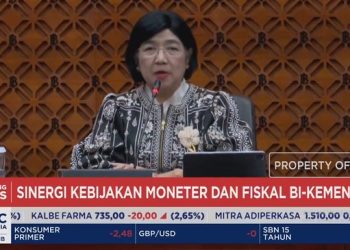Video Menkeu Suahasil Kunjungi Destry Bahas Sinergi Bank Indonesia