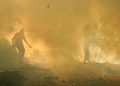Karhutla Gunung Merapi Ungup-Ungup TWA Kawah Ijen Luasnya Mencapai 20 Hektare