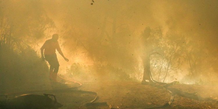 Karhutla Gunung Merapi Ungup-Ungup TWA Kawah Ijen Luasnya Mencapai 20 Hektare