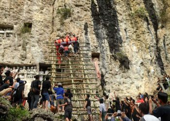 Karhutla Toraja Utara Membakar Ratusan Peti Jenazah di Makam Tradisional