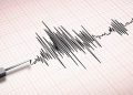 Rumah dan Sekolah Terluka Akibat Gempa M6,1 di Sumba