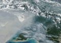 Jumlah Titik Panas Karhutla di Papua Selatan Turun Tersisa 65 Hotspot