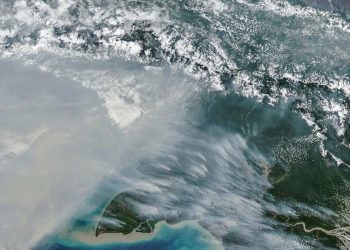 Jumlah Titik Panas Karhutla di Papua Selatan Turun Tersisa 65 Hotspot