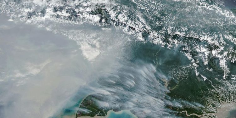Jumlah Titik Panas Karhutla di Papua Selatan Turun Tersisa 65 Hotspot