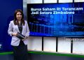 Bursa Saham Indonesia Terancam Selevel dengan Zimbabwe