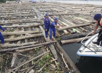 TNI AL Amankan 2 Kapal yang Selundupkan 8000 Kayu Ilegal di Pulau Buru
