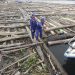 TNI AL Amankan 2 Kapal yang Selundupkan 8000 Kayu Ilegal di Pulau Buru