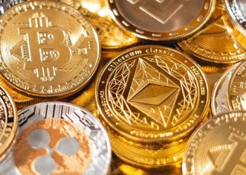 Dua Kategori Aset Kripto Mendapat Sertifikasi Halal dari MUI, Berikut Bocorannya
