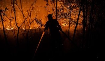 9 Relawan Terbakar Saat Berjuang Memadamkan Kebakaran Hutan dan Lahan