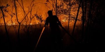 9 Relawan Terbakar Saat Berjuang Memadamkan Kebakaran Hutan dan Lahan