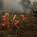 Malaysia Tawarkan Bantuan Pesawat dan Helikopter untuk Atasi Kebakaran Hutan dan Lahan