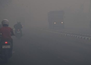 Kasus ISPA Jatim Meningkat 200 Ribu akibat Karhutla dan Kemarau